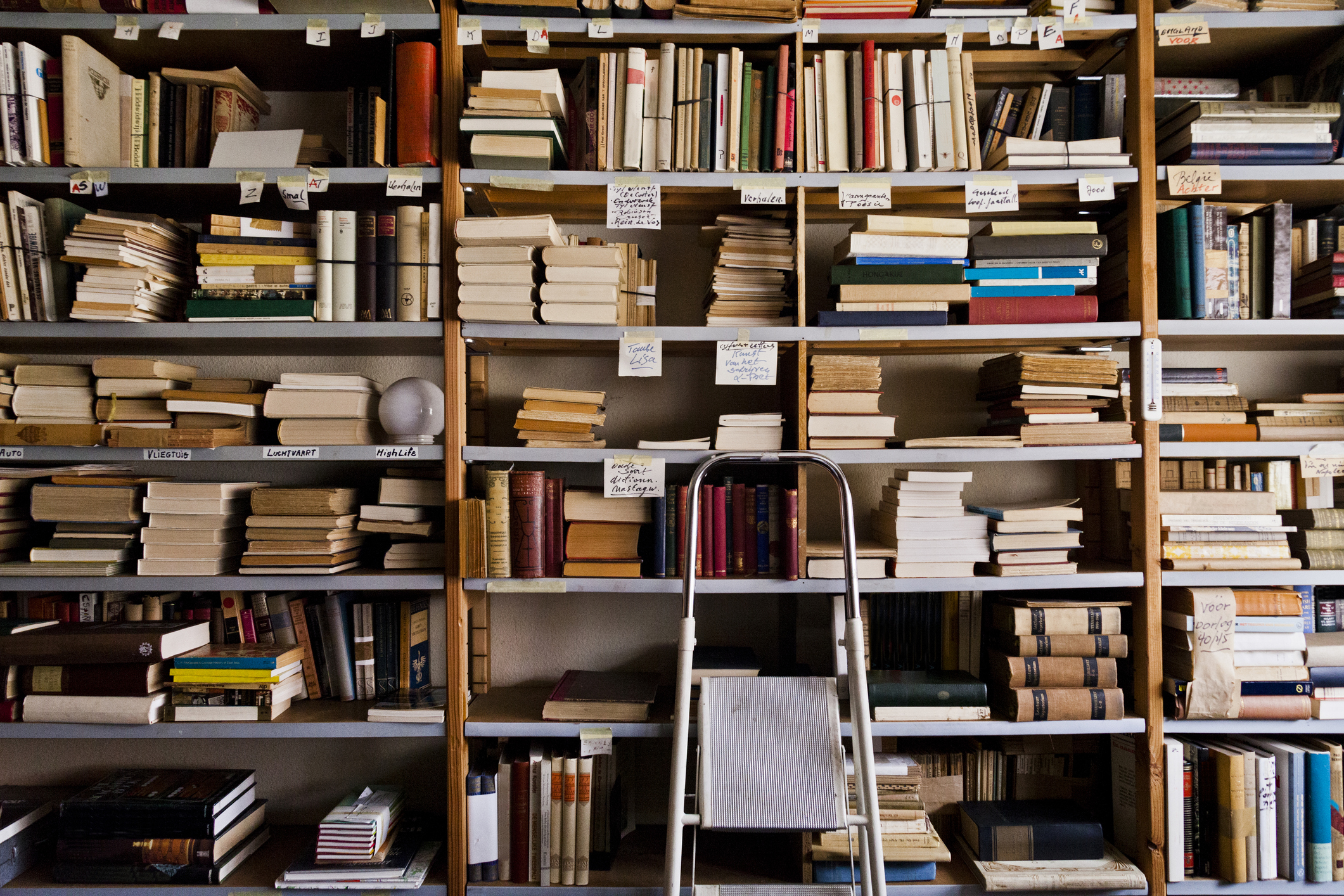 Amazon reportedly destroys rare books to scan them for AI training data