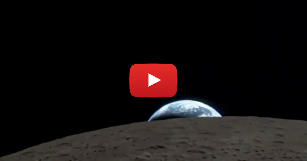 Sunday Special: Scientists discover ancient Kraken-like octopus